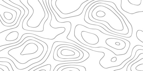 Topographic map background geographic line map with elevation assignments. Modern design with White background with topographic wavy pattern design.Topography grid contour map on white background © mildova