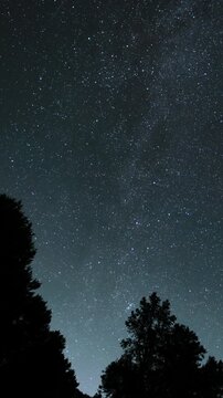 Vertical Shot of Milky Way Galaxy and Perseid Meteor Shower in Northeast Sky Over Forest Astrophotography Time Lapse California USA