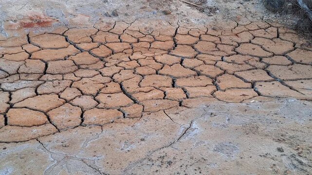 Close up of dry cracked earth ground due to drought and heatwave. Parched soil texture with cracks from canicule. Climate change, dry season, desertification concept.