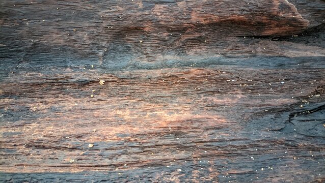 Close-up macro shot of dark weathered wood texture with deep organic grooves and natural grain patterns.