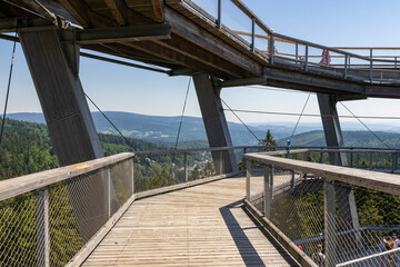 Fototapeta premium the spiral paths on the treetop walk (Stezka korunami stromu) on sunny days in South Bohemia, Czech Republic