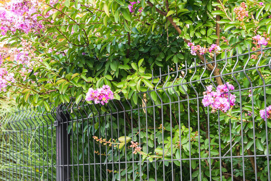 Rigid Industrial Fence Panels &ndash; Wire Grating and PVC Metal 