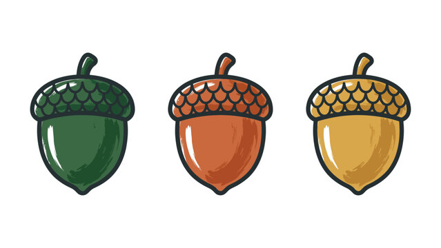 Set of three colorful stylized acorn illustrations for autumn with stylized