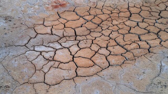 Close up of dry cracked earth ground due to drought and heatwave. Parched soil texture with cracks from canicule. Climate change, dry season, desertification concept.