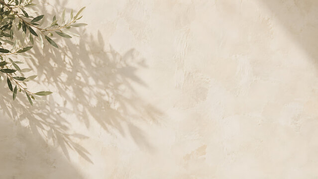 Olive tree leaf shadows on beige wall. Minimalist sunlit background with natural texture.