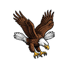 Naklejka premium Bald eagle flying illustration with wings spread and talons extended mascot design.