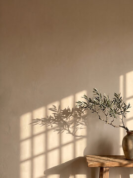 Minimalist Beige Wall with Olive Plant Pottery on Wooden Bench and Window Shadow
