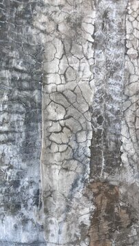 Cracked surface shows weathered texture. Gray tones dominate with subtle brown streaks. Natural fissures form intricate, organic patterns. Surface feels aged, worn, and exposed to time