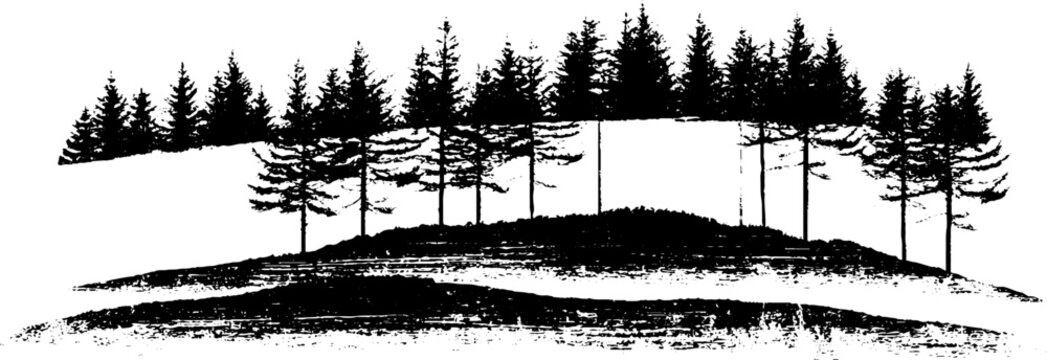 Grunge black and white pine forest landscape stencil with hill and textured ground for background and banner design