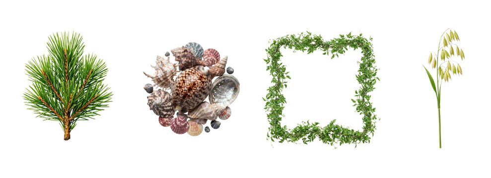 Collection of nature and plants high quality png transparent background elements featuring a small green tree pine cones a leafy square frame and floral stems