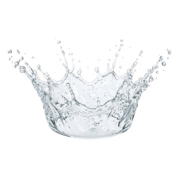 A realistic water splash crown isolated on a black background representing nature and plants high quality png transparent background for your creative design project needs