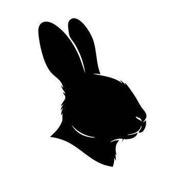 Vector silhouette of a rabbit's head