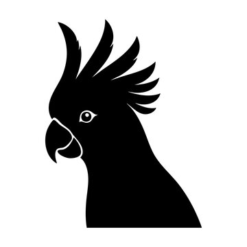 parrot head vector silhouette