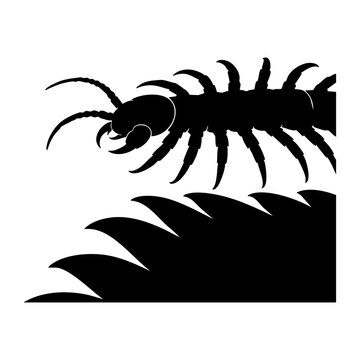 Vector silhouette of a centipede head