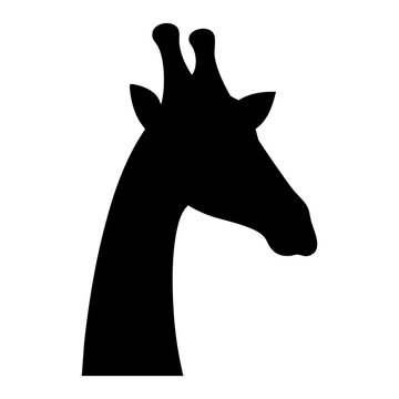 Vector silhouette of a giraffe's head