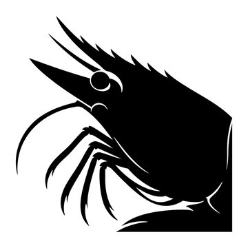 Vector silhouette of a shrimp head