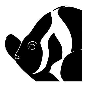 Vector silhouette of a clownfish head