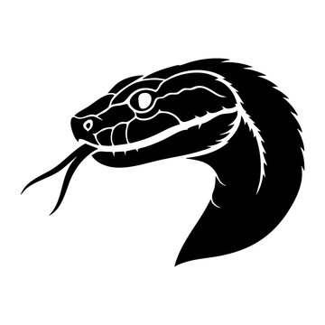 Vector silhouette of a snake's head