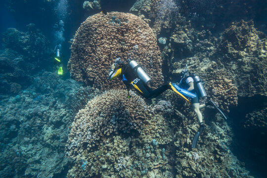 Group of scuba divers exploring a massive coral reef pinnacle underwater