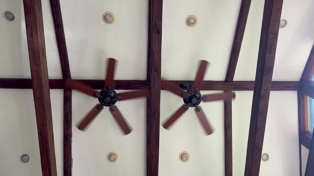 Ceiling fans spinning on a vaulted wooden beam ceiling seen from below
