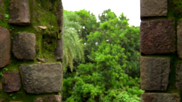 Vasai, Maharashtra, India - July 30, 2026: Old Fort Window Framed by Tropical Greenery. 