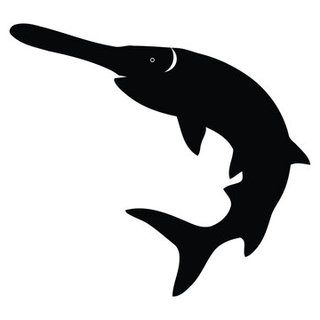 Black silhouette of a sawfish jumping or swimming isolated on a clean white background design.