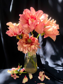 A Arrangement Featuring Blooming Pink Peonies