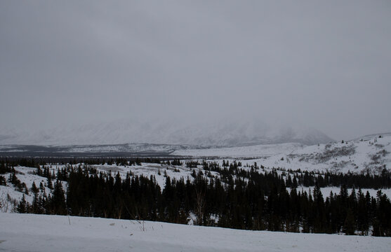 Fog over mountains in Alaska