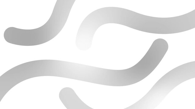Animated silver decorative wavy lines is drawn. Linear background. Looped video. Vector illustration isolated on white background.