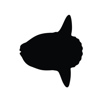 Mola fish silhouette icon vector flat design.