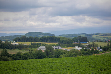 Fototapeta premium Biei hills in summer in Hokkaido, Japan