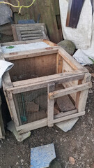 Handmade Wooden Poultry Cage Standing Inside Rustic Rural Backyard Area © Rizky Wardhana