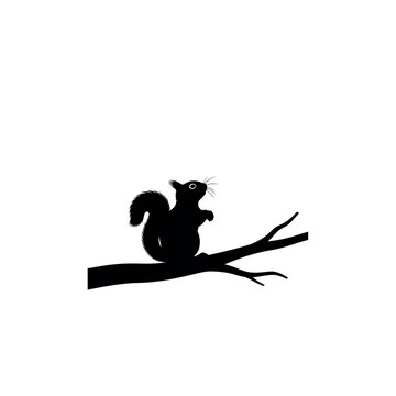 Silhouette of a squirrel perched on a tree branch.