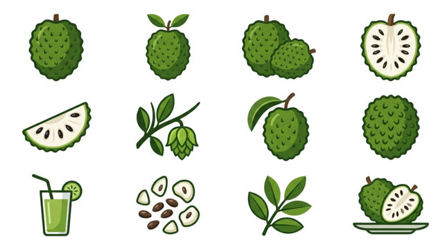 Collection of Soursop Fruit Illustrations and Related Elements.