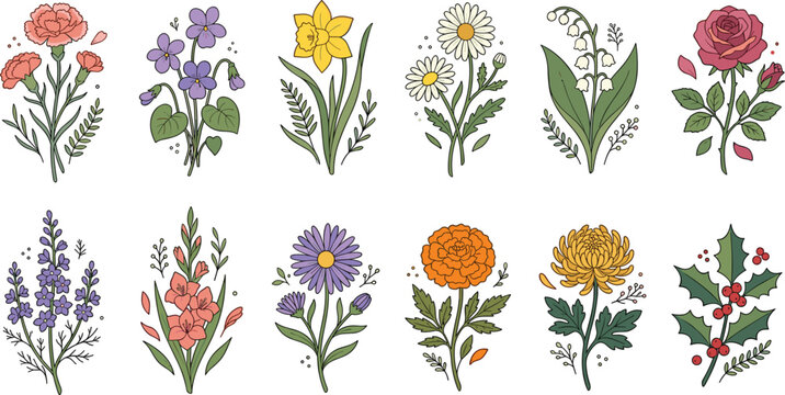 Hand drawn birth month flowers vector collection including rose daisy violet daffodil carnation lily lily-of-the-valley aster marigold chrysanthemum holly larkspur gladiolus