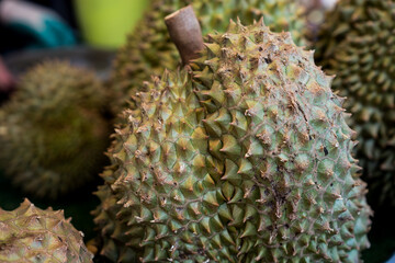 Fresh durian fruit from the durian garden for sale in the local market of Thailand. © Dontree