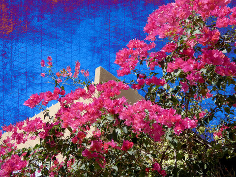 photo of bright red-pink bougainvillea flowers and corner of and adobe building with altered sky with grunge and grid texture