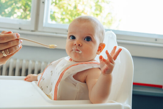 First solid food meals.