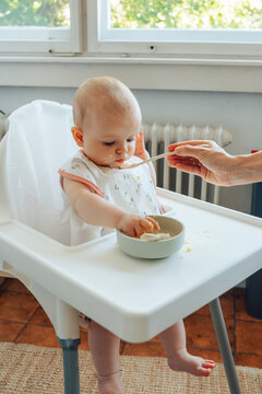 Introducing solid food meals
