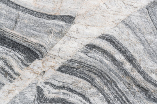 Abstract Metamorphic Stone Texture
