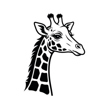 Black and white giraffe head side view vector graphic isolated