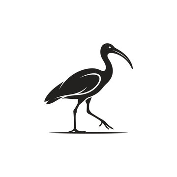 Black walking ibis bird silhouette vector illustration isolated on white background