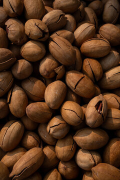Detailed close-up of pecan nuts in shell piled together. Natural nut texture suitable for healthy eating, organic food, agriculture, food industry and background use