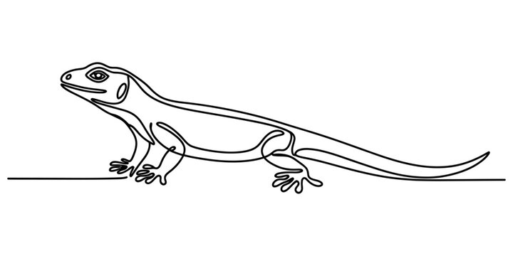 Minimalist continuous single line drawing of a small lizard reptile standing on a flat surface