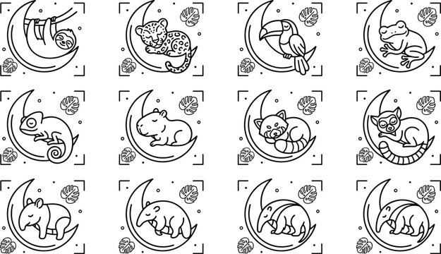 Celestial Sleeping Tropical Jungle Animal Line Art Icon Set with Crescent Moon and Monstera Leaves for Children Coloring Book Layouts