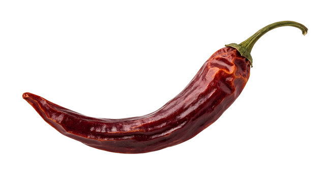 One single dried red chili pepper on a flat surface