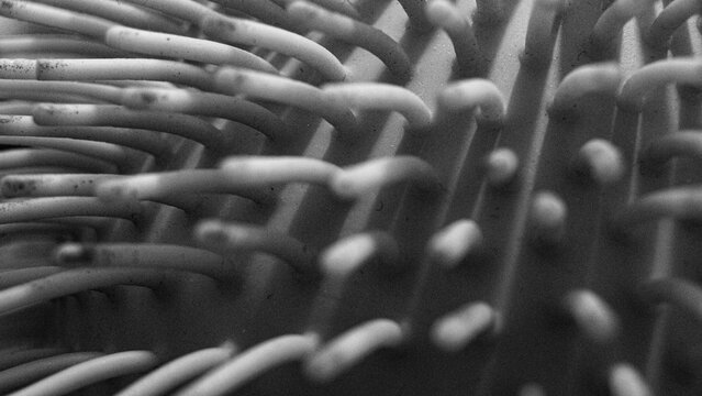 Black and white macro close-up of a textured plastic hairbrush bristle surface