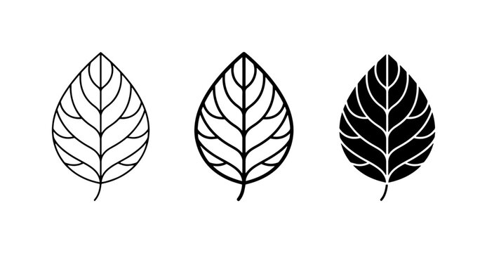 70 Set of Three Leaf Icons, Outline, Silhouette, and Filled Styles, Botanical Vector Graphics for Nature and Organic Design 100