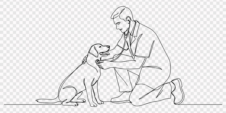 Continuous one line drawing of a veterinarian doctor examining a cute dog with a stethoscope Vector, illustration, transparent background, One line art concept of et health care service. Vector pro on