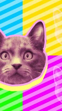 Seamless young vertical video of cartoon style cats with duotono colors. Stop motion minimal animal art with fluorescent colors halftone style background.